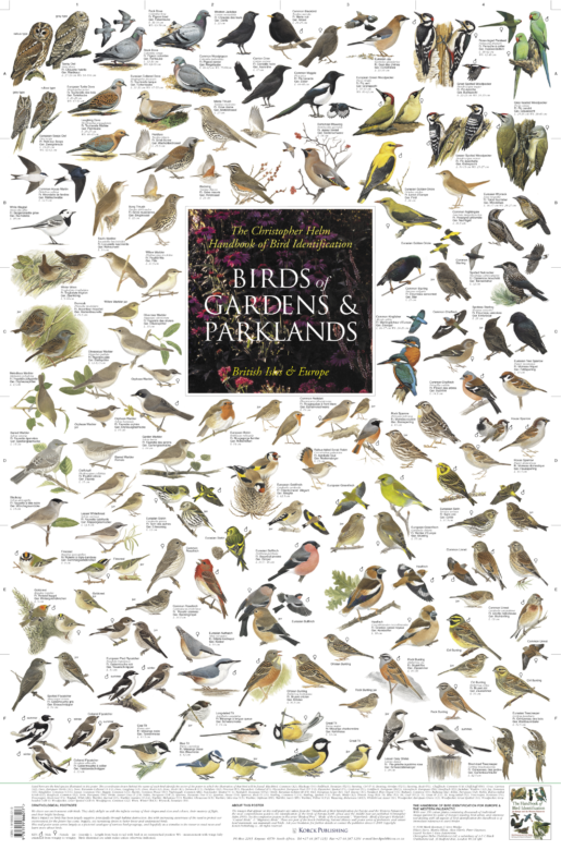 Birds of Gardens & Parklands - British Isles & Europe