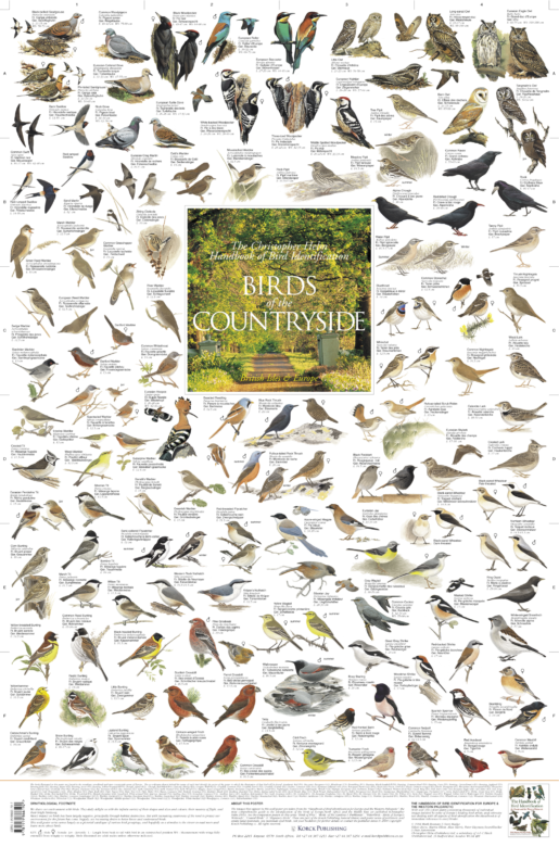 Birds of the Countryside - British Isles & Europe