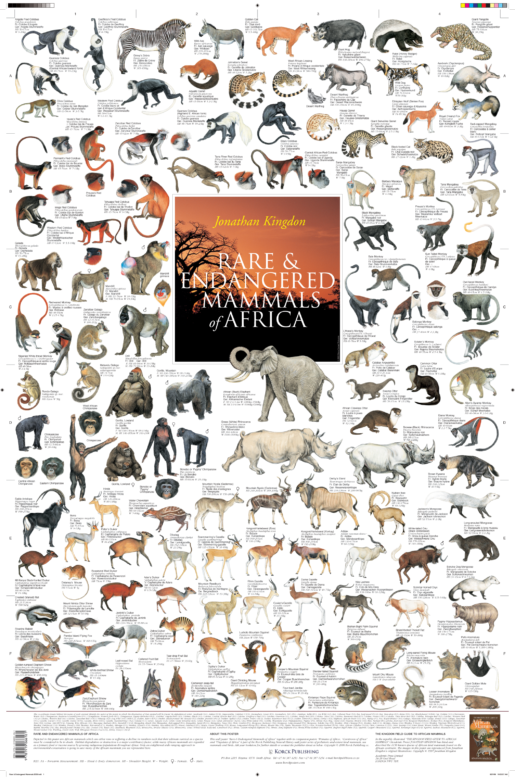 Mammals of Africa Poster