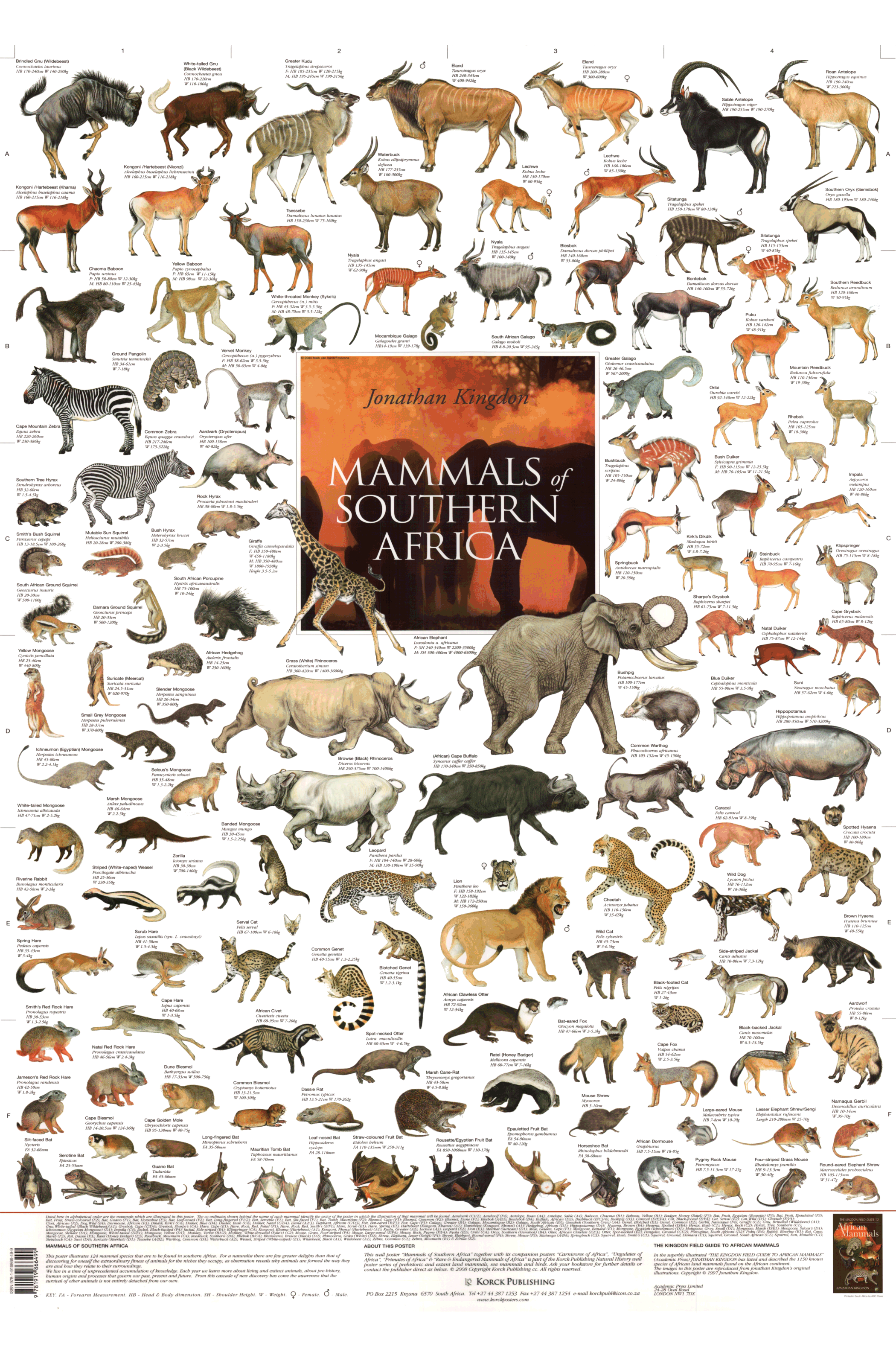 Types Of Animals In South Africa At Dorothy Bufkin Blog